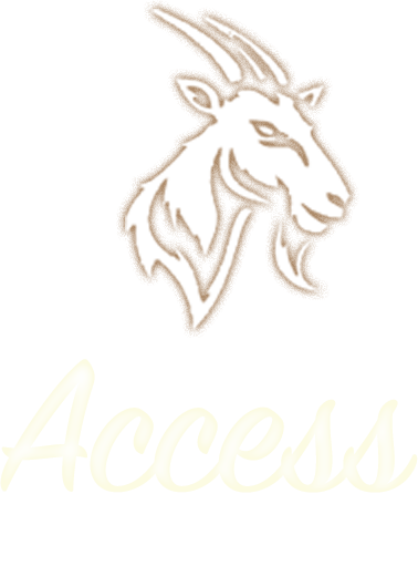 Access